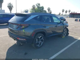 
										Hyundai Tucson full									