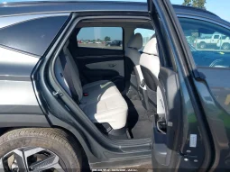 
										Hyundai Tucson full									