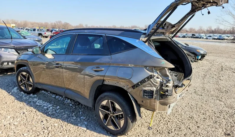 
								Hyundai Tucson full									