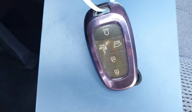 
								Hyundai Santa Fe full									