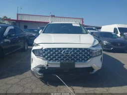 
										Hyundai Santa Fe full									