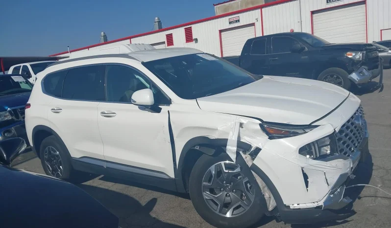 
								Hyundai Santa Fe full									