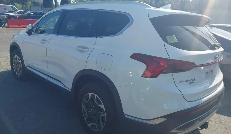 
								Hyundai Santa Fe full									