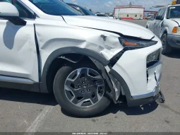 
										Hyundai Santa Fe full									