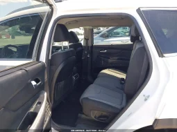 
										Hyundai Santa Fe full									