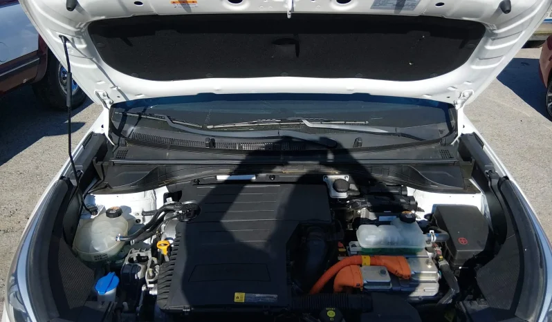 
								KIA Niro full									
