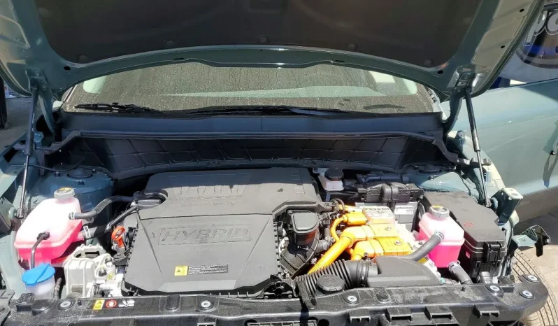 
								KIA Niro full									