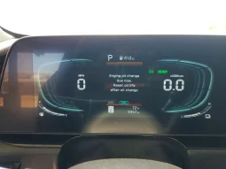 
										KIA Niro full									