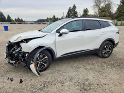 
										Kia Sportage full									