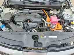 
										Kia Sportage full									