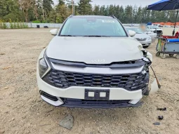 
										Kia Sportage full									