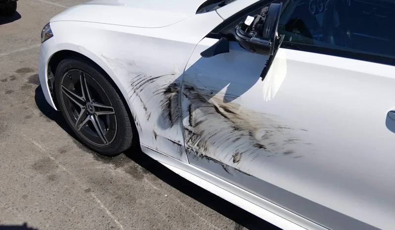 
								Mercedes-Benz C 300 full									
