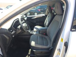 
										Ford Escape full									