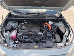 
										2022 Toyota RAV4, Xle Premium full									