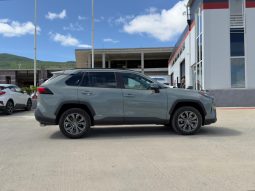 
										2022 Toyota RAV4, Xle Premium full									