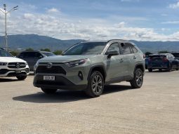 
										2022 Toyota RAV4, Xle Premium full									