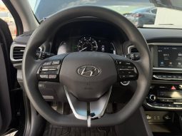 
										Hyundai ioniq full									