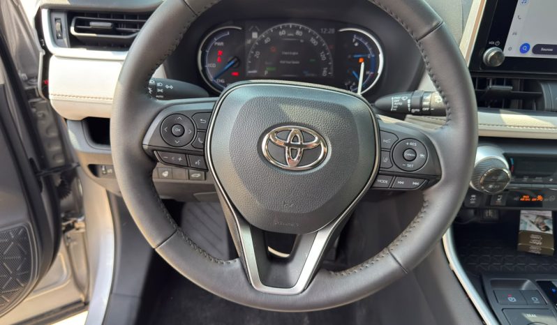
								Toyota RAV4 full									