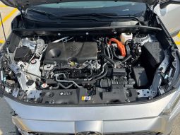 
										Toyota RAV4 full									
