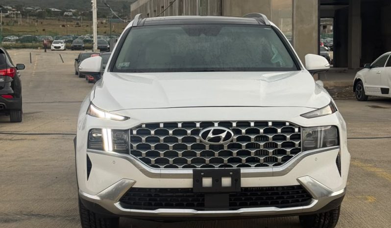 
								Hyundai Santa Fe full									