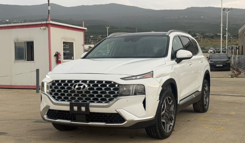 
								Hyundai Santa Fe full									