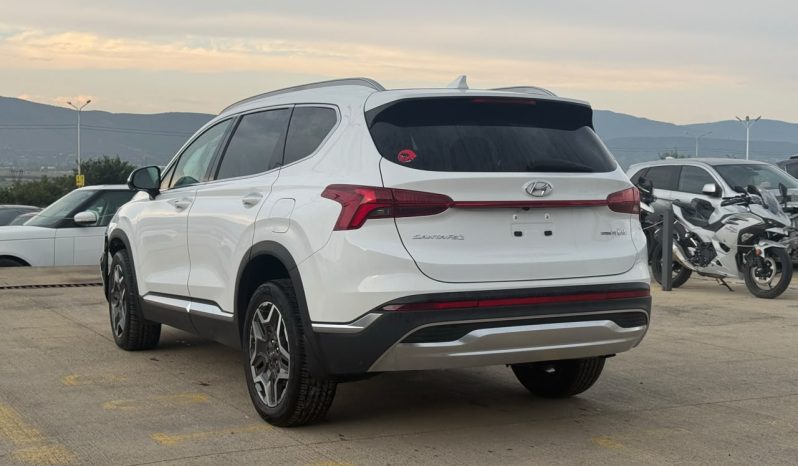 
								Hyundai Santa Fe full									