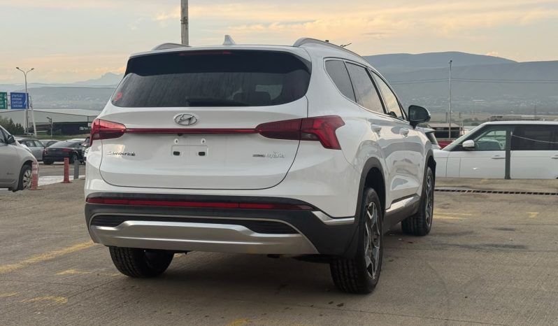 
								Hyundai Santa Fe full									