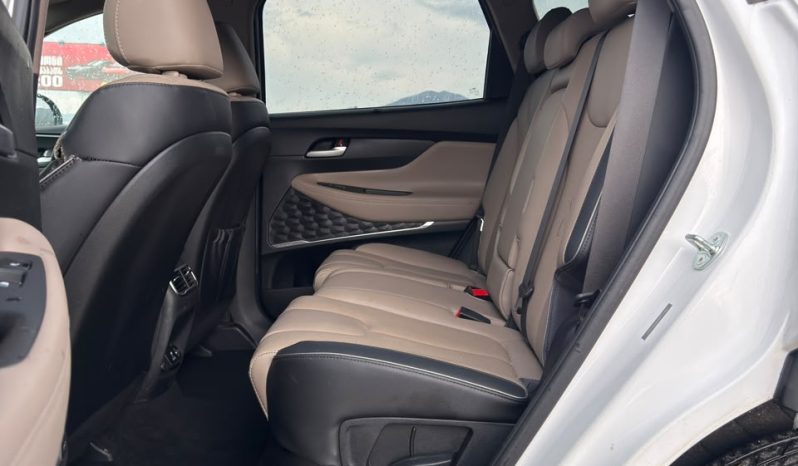 
								Hyundai Santa Fe full									