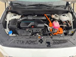 
										Hyundai Santa Fe full									