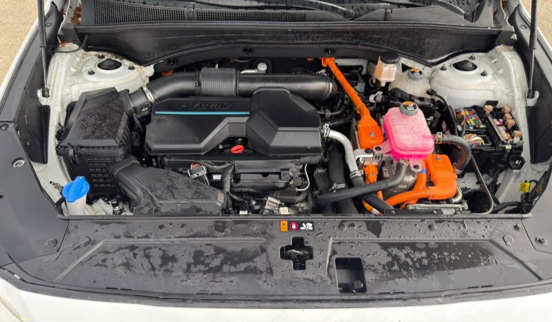 
								Hyundai Santa Fe full									