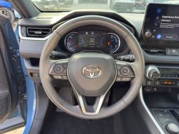 
										Toyota RAV4 full									
