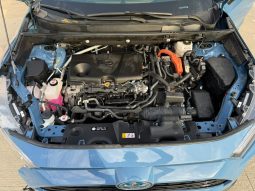 
										Toyota RAV4 full									