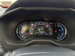 
										Toyota RAV4 full									