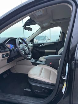 
										Ford Escape full									