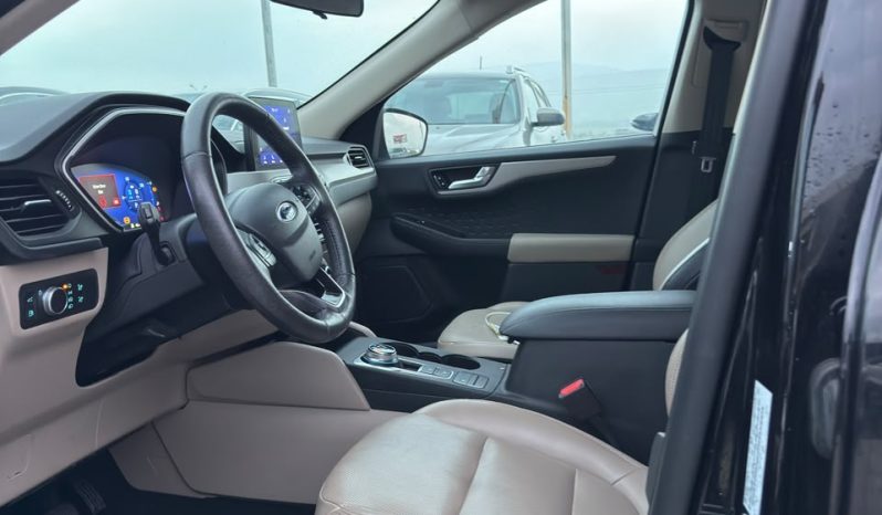 
								Ford Escape full									