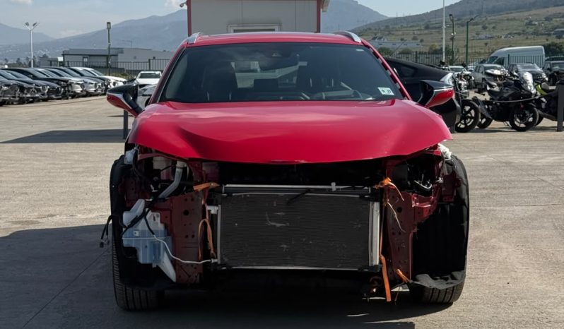 
								Lexus UX 250h full									