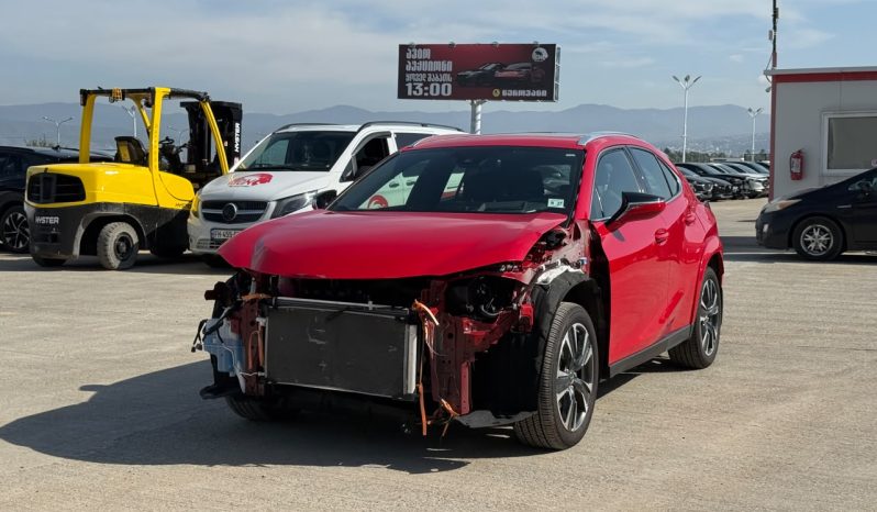 
								Lexus UX 250h full									