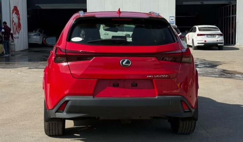 
								Lexus UX 250h full									