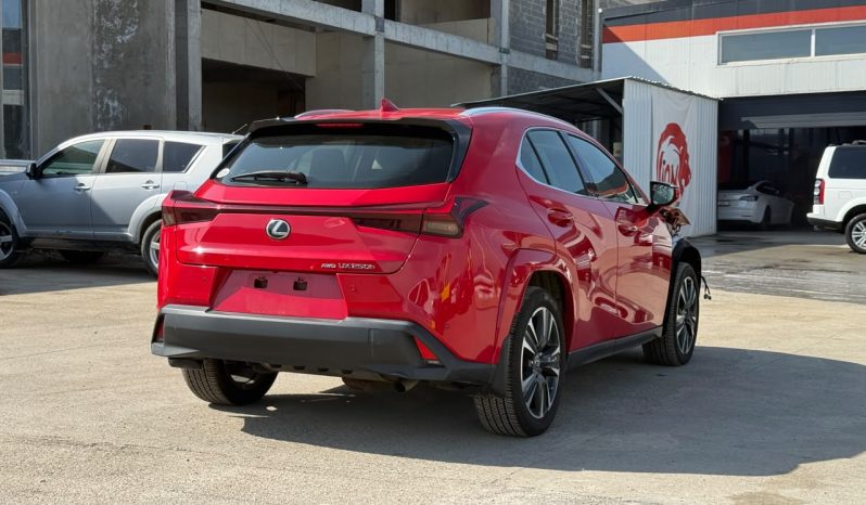 
								Lexus UX 250h full									
