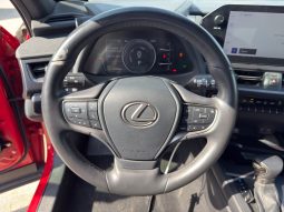 
										Lexus UX 250h full									