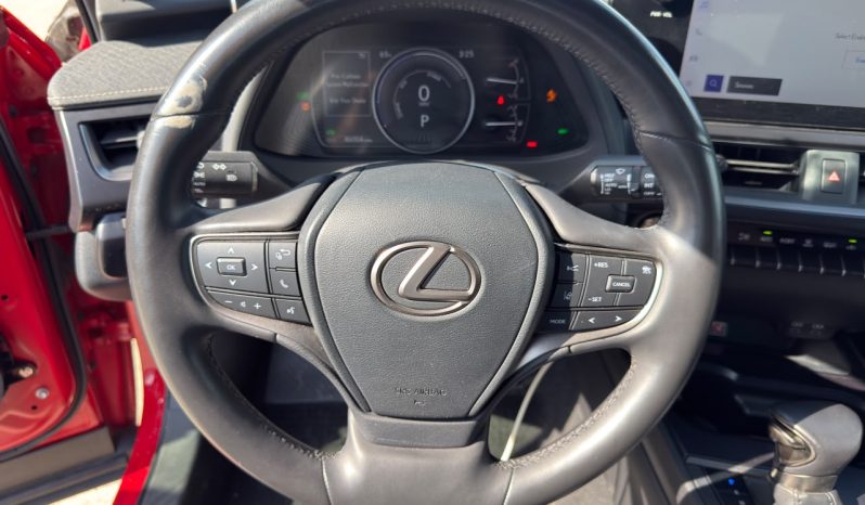 
								Lexus UX 250h full									