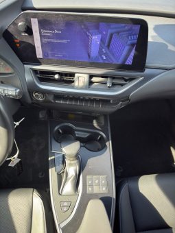 
										Lexus UX 250h full									