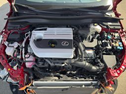 
										Lexus UX 250h full									