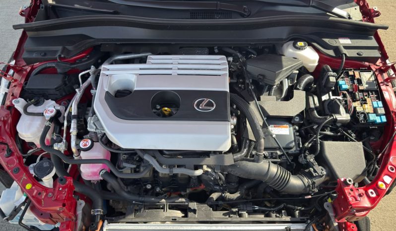 
								Lexus UX 250h full									