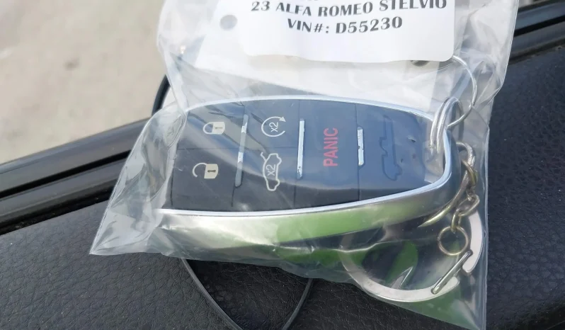 
								Alfa Romeo Stelvio full									