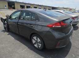 
										Hyundai Ioniq full									