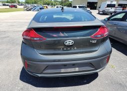 
										Hyundai Ioniq full									
