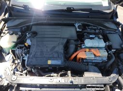 
										Hyundai Ioniq full									