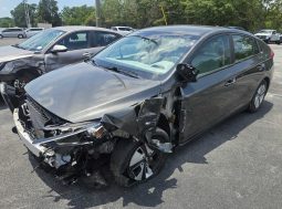 
										Hyundai Ioniq full									