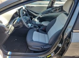 
										Hyundai Ioniq full									